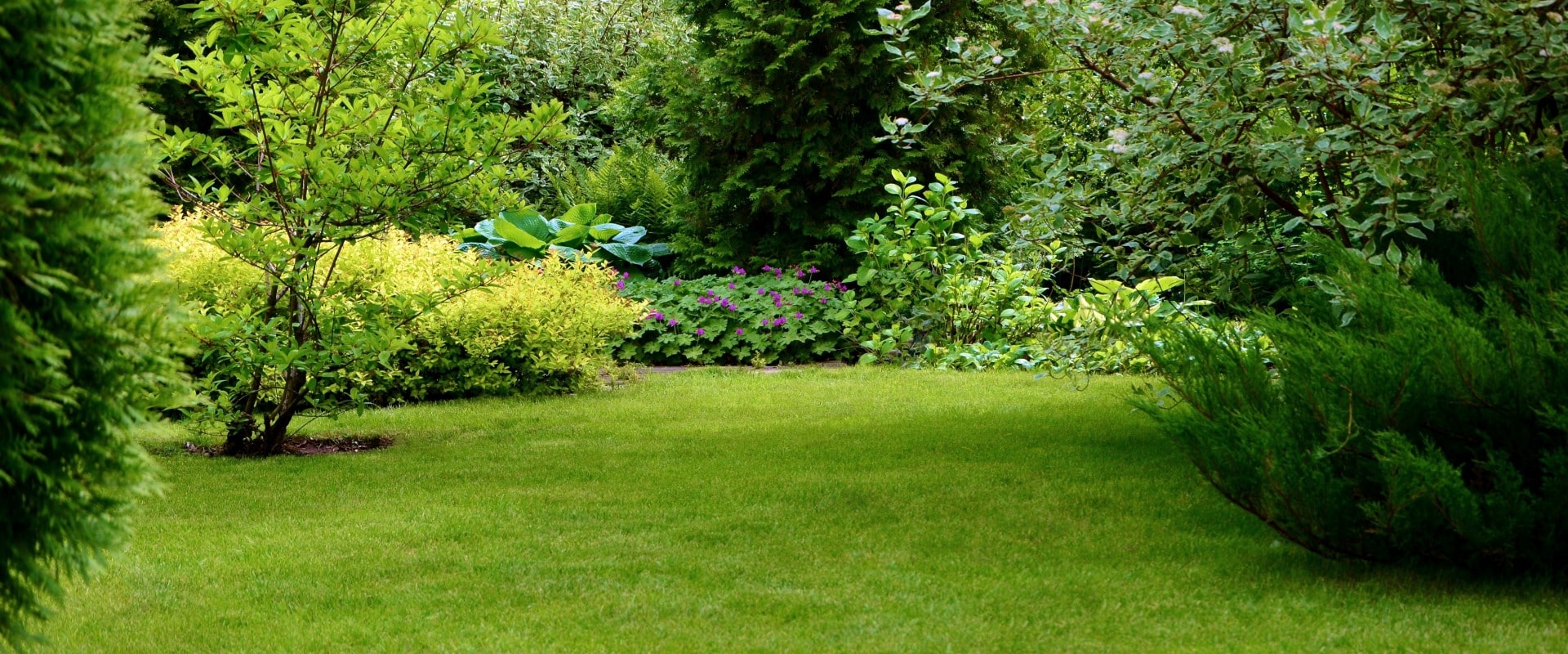 Green lawn surrounded by beautiful plants in a well-kept garden.