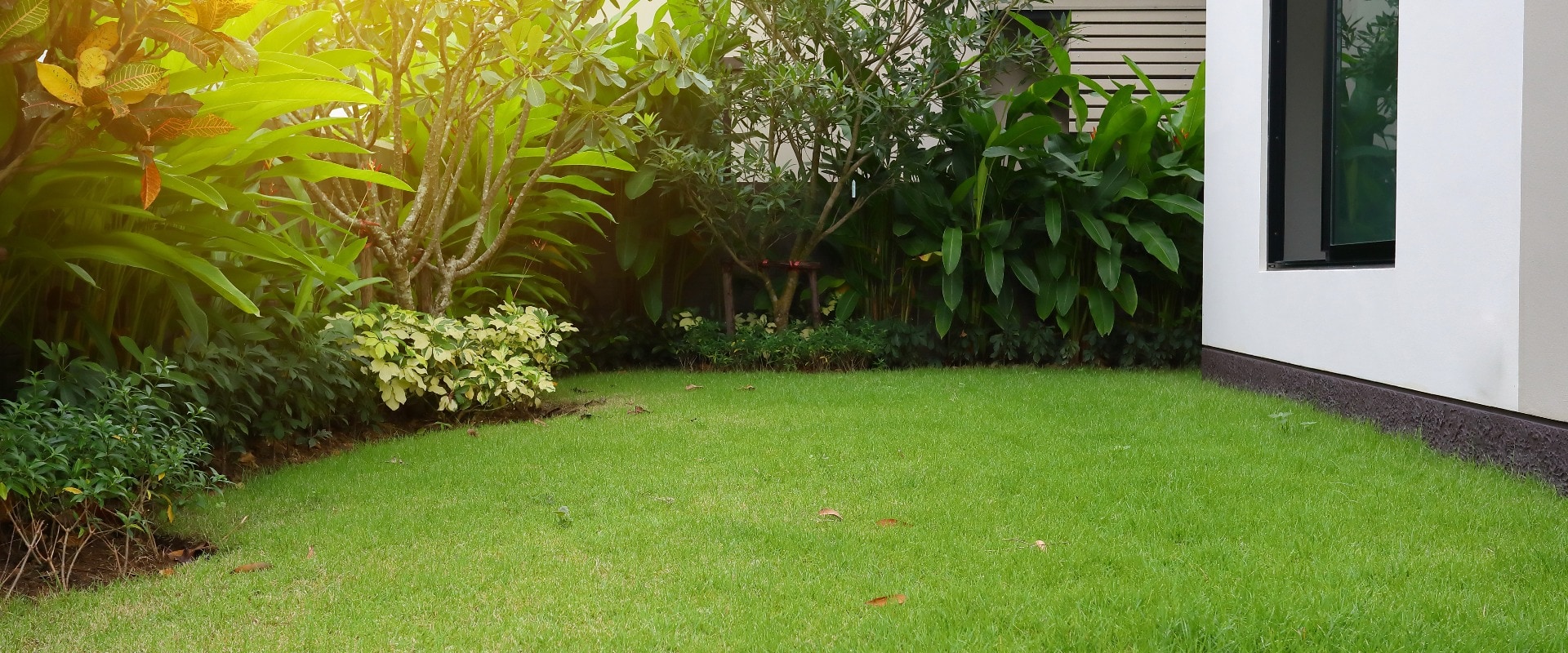 lawn landscaping with green grass turf in garden home