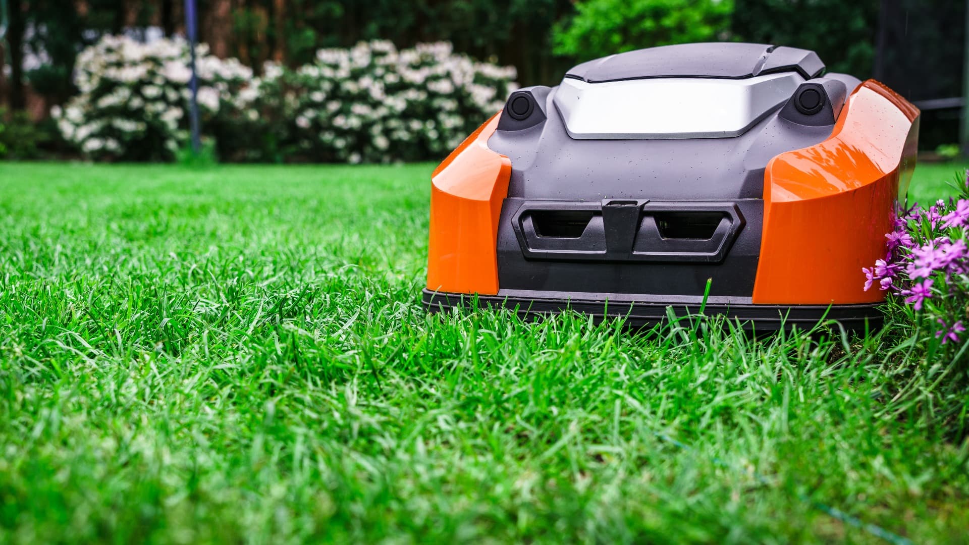 Lawn robot mows the lawn. Robotic Lawn Mower cutting grass in the garden.