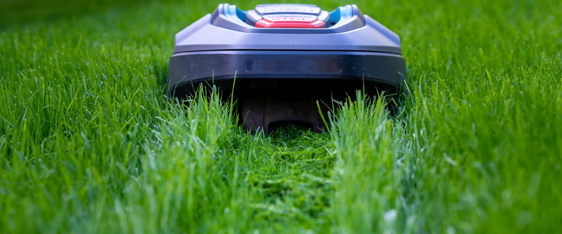 Robot mower cutting high grass.